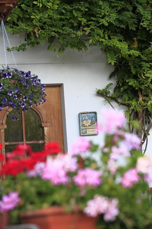 טזרו Agriturismo Maso Santa Libera מראה חיצוני תמונה